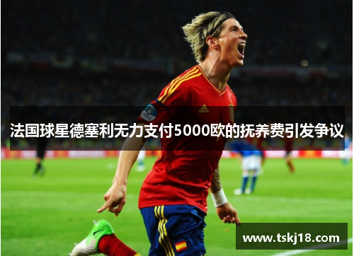法国球星德塞利无力支付5000欧的抚养费引发争议